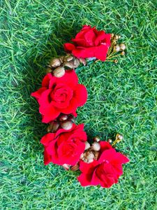 pick any @99 Colorful Festive Earrings