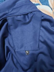 Blue Button-Down Shirt