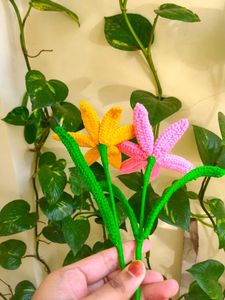Handmade Crochet Flower Set