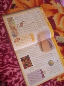 Knowledge Encyclopedia 😁