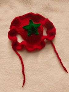 Adorable Crochet Strawberry Cat Hat🐱🧶