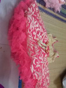 Beautiful Pink &amp; Gold Lehenga Choli