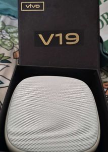 Vivo V19 Speaker Box