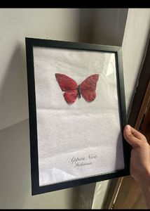 appias nero The Butterfly artifact