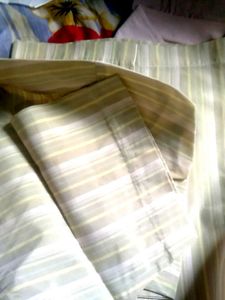 Striped Men's Shirt