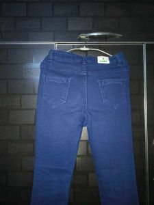 Blue Flared Jeans
