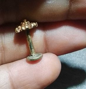 Original Gold Nose Pin