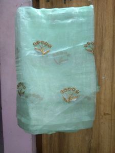 Mint Green Embroidered Organza Dupatta
