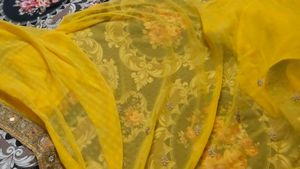 Elegant party wear Saree