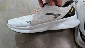 Campus Sports Shoes