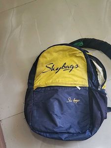 Skybags Backpack