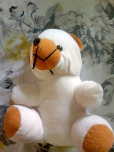 Teddy Bear Waite And Brown