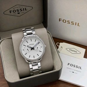 Evergreen Fossil Original Japanese Collection* ❤️