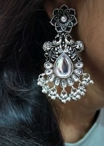 Silver Tone Drop Earrings