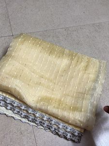 Elegant Embellished Saree