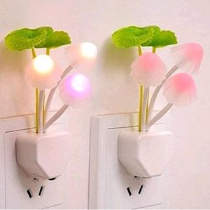 🆕 Wall Lamp Multicolour Light (pack of 1)