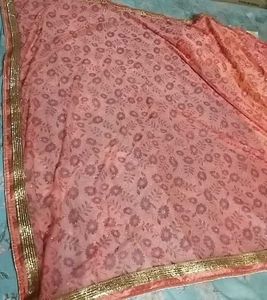 Elegant Indian Sari