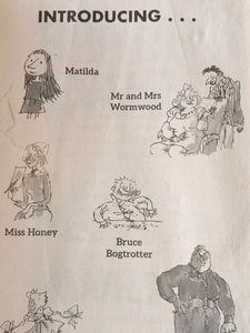 Roald Dahl Matilda Book