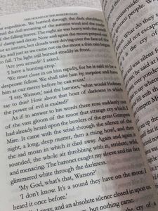 The Hound Of Th Baskervilles