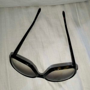 Roberto Cavalli sunglasses