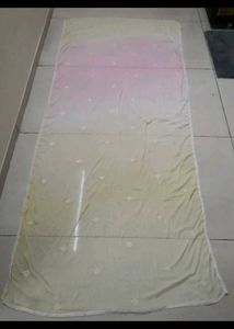 Elegant Ombre Dupatta