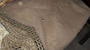 3 Beautiful Dupatta Golden