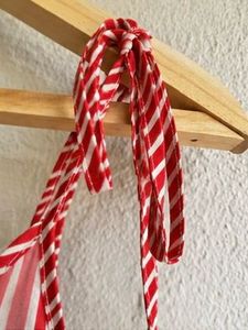 Red Striped Floral Cami Top
