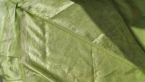 Parrot Green Saree