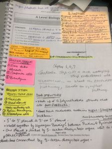 A Level Biology Textbook