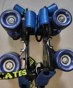 Blue Roller Skates
