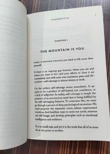 The Mountain is You: Transforming Self-Sabotage in