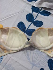 Elegant Embroidered Bra