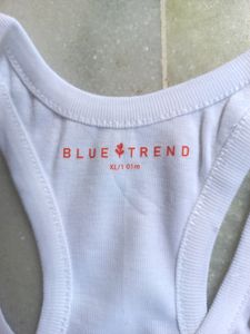 Camisole Inner ( Brand- Blue Trend)Size- Xl