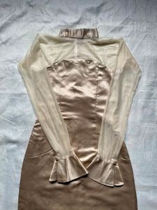 Elegant Champagne Gown