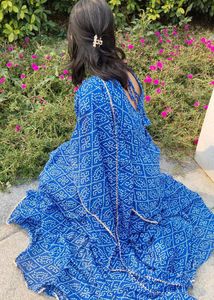 Beautiful Blue Ethnic Saree