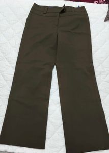 Stylish Flared Trousers for Women
