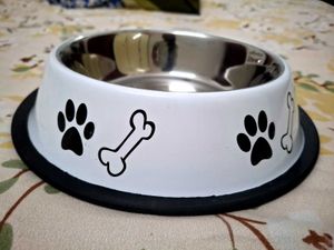 Pet Bowl