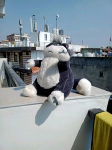 soft toy oggy