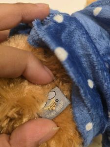 Cute Teddy Bear with Blue Polka Dot Hoodie