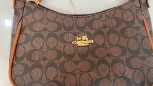 Coach Signature Hobo Bag