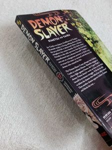 Demon Slayer 17