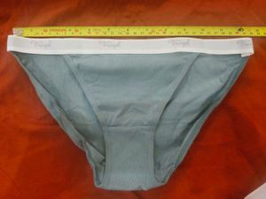 Triumph Women's Briefs