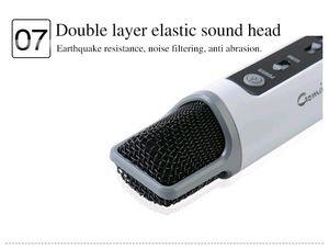 Gomeir Bluetooth Karaoke Smart Microphone