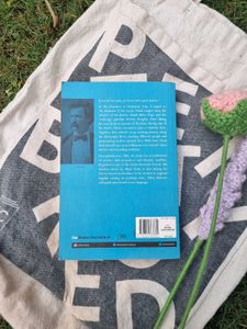 Huckleberry Finn Book