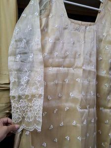 Elegant Tan Embroidered Kurta Set