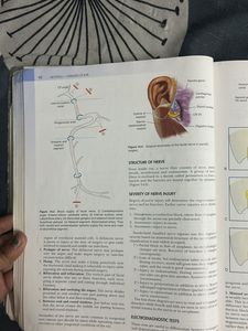 Diseases of Ear, Nose, Throat &amp; Head and Neck