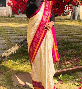Elegant Ethnic Saree