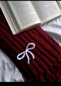 mikasa crocheted scarf💌🧣