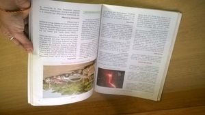 ICSE 8th Geography