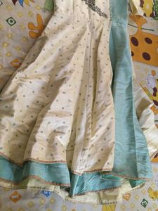 Elegant Ethnic Gown